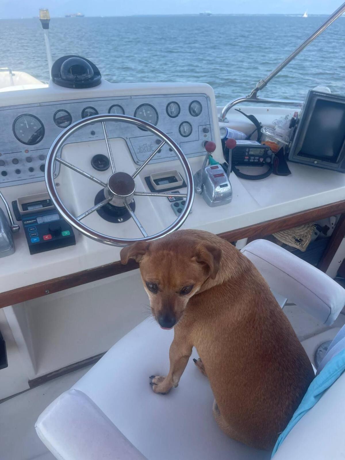 Annapolis Boat Life - Overnight Stays Exteriér fotografie